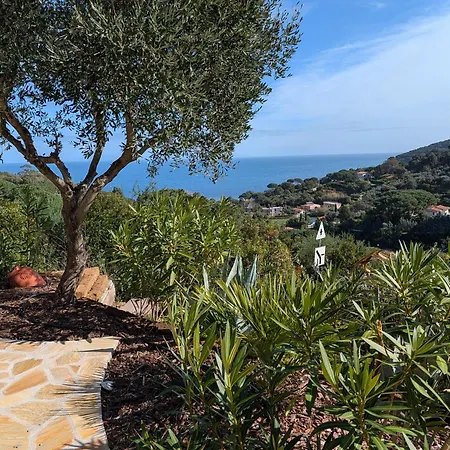 Βίλα Casa Gina - Goelba *